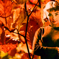 Audrey Hepburn