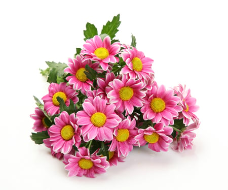 bouquet - nice, photography, bouquet, gentle, cool, pink, beautiful, flowers, photo, elegantly, harmony, flower