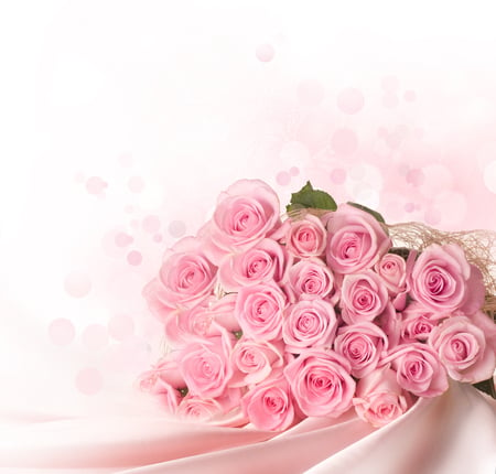 roses - nice, roses, photography, bouquet, rose, gentle, cool, pink, beautiful, flowers, photo, flower, elegantly, harmony