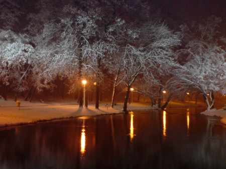 Winter night - trees, winter, headlights, snow, landscape, beauty, sesons, reflection, lake water, ice, frozen, nature, lights, cold, park