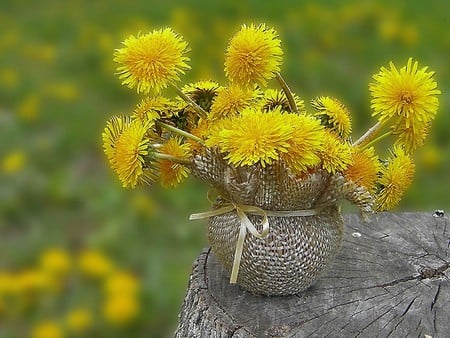 Yellow and Silver - vibrant, stump, blooms, basket, yellow, bow, tree, pot, flower