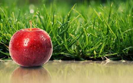 red apple - red, green, fruit, grass, photo, apple