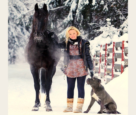 Winter friends - winter, black horse, snow, dog, white, woman, blond, cold, friends