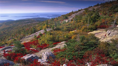 The View - hill, trees, blue, beautiful, stones, greens, view, red, see, sky, rocks