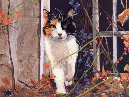 Walking in the garden - garden, flower, animal, kitten, cat, window, painting