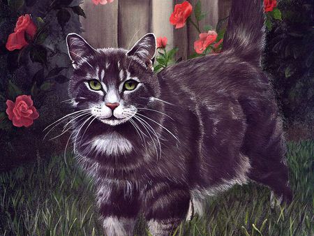 Grey cat in the garden - garden, flower, animal, kitten, cat, painting