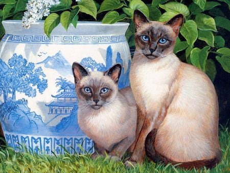 Cats in garden - cat, animal, painting, kitten