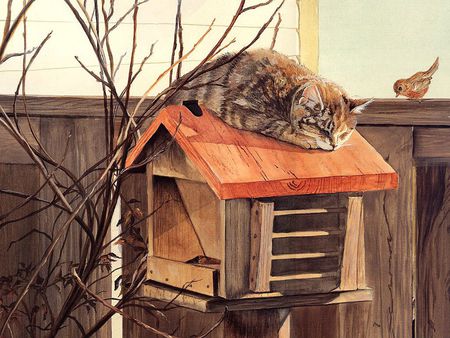 Resting under the birdhouse - animal, cute, bird, cat, birdhouse, kitty, brown, cats, fence, kitten, trees, painting, birds