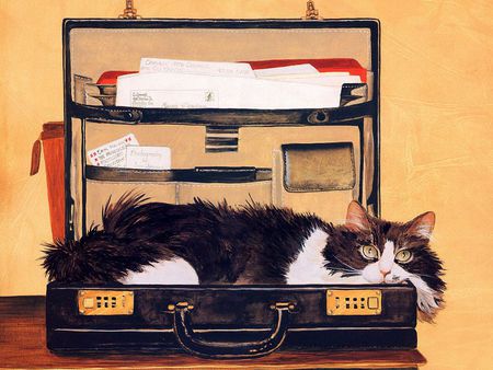 My favorete hiding place - animal, kitten, suitcase, cat, painting