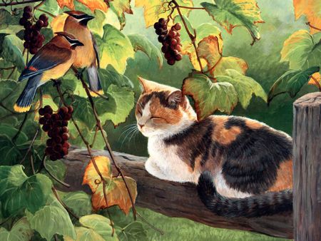 Paradise garden - bird, animal, kitten, garden, painting, cat