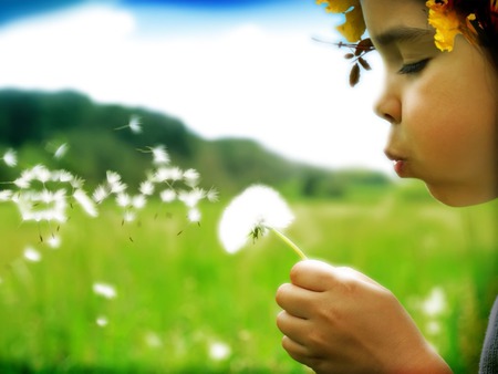 Nature child - field, flower, child, nature