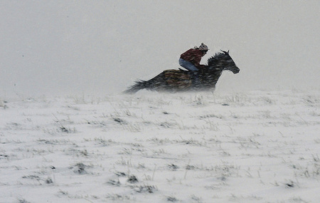 storm - horse, snow, winter, rider, storm