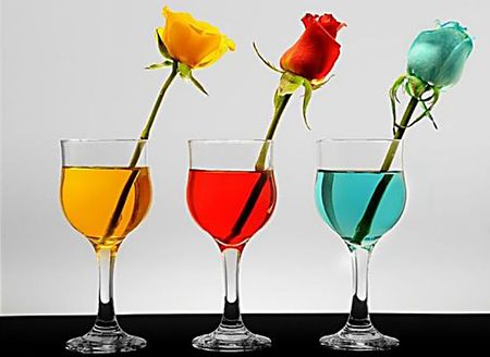 three roses - roses, glasses, yellow, red, colors, turquoise