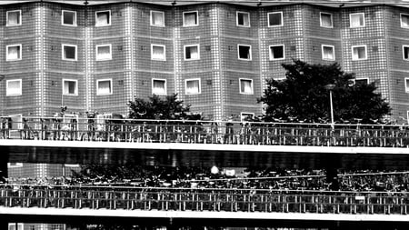 bikes - black and white, bike, amsterdam, parking