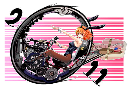 Go!~ - rabbit, 2011, girl, monowheel, cool, bunny, vehicle, year, american, kemonomimi, usamimi, riding, flag