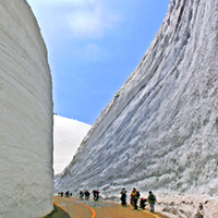 Snow canyon