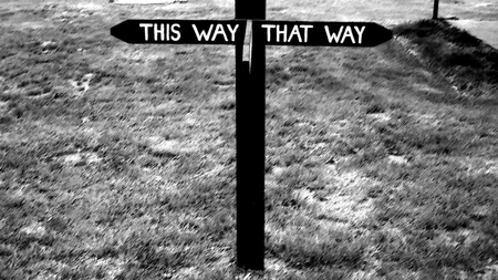 This way - black and white, hollyford, new zealand, sign