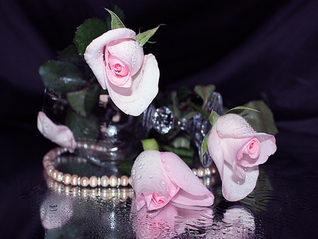 Roses For Jasenka - pearls, beauty, roses, photography, rose, still life, with love, pretty, reflection, romance, jasenka, drops, pink roses, glass, lovely, nature, romantic, beautiful, pink, flowers, colors