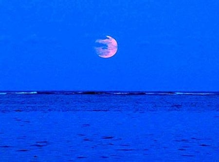 Pink Moon rising - serene, breathtaking, peaceful, blue