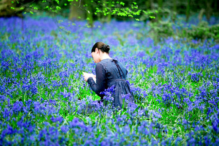 Lady Blue - silence, blue, beauty, spring, flowers, nature, lady, green, woman, places, field, color