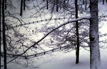 Het Solse Gat 1 - winter, nature, forrest, snow, hole, famous