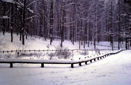 Het Solse Gat 2 - nature, forrest, snow, legend, hole, mysterious