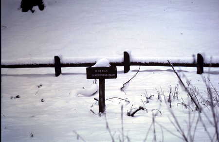 Het Solse Gat 3 - famous, nature, ghost, monastery, snow, forrest, hole