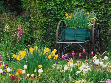 very green - park, tullip, white, yellow, romantic, beautiful, leafs, green, flowers, garden