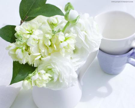 White - flowers, white, blue, beautiful, teacups, pot vase