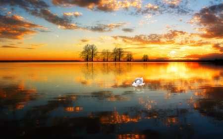 Sunset - lake, sunset, nature, sky