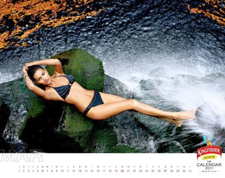 Exclusive-Kingfisher_2011_Calendar - kingfisher, picture, hot, 2011, calendar, exclusive