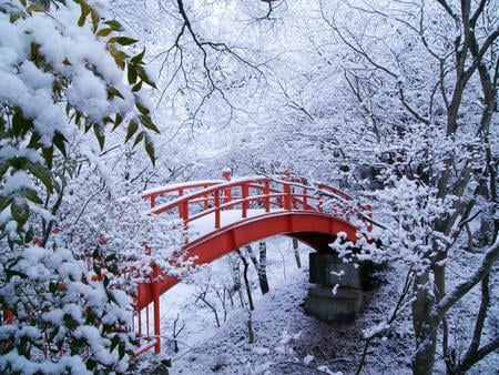 Walk over - branches, snowfall, trees, winter, bridge