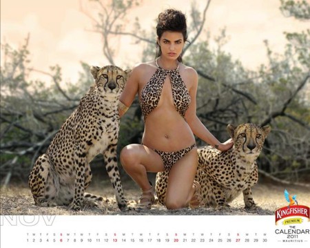 Exclusive-Kingfisher_2011_Calendar - kingfisher, picture, hot, 2011, calendar, exclusive