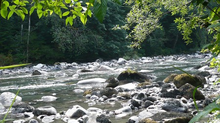 Sauk River - trees, river, ripples, summer riverbank, washington, rocks