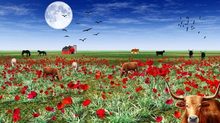 Poppy Field Farm - clouds, moon, cow, poppies, horse, flowers, bull, barn, shed, sky