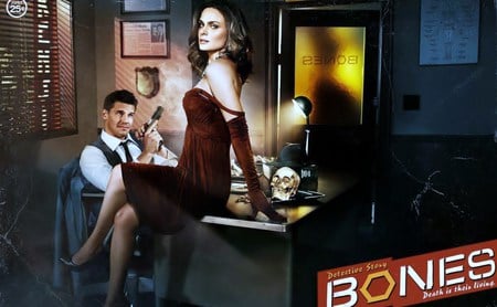 Booth and Bones - bones, drama, david, fiction, tv show, fox, emily, brennan, booth, couples