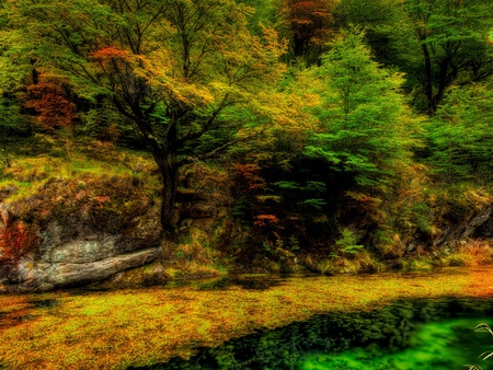 The Emerald Lake - colors, lake, trees, emerald