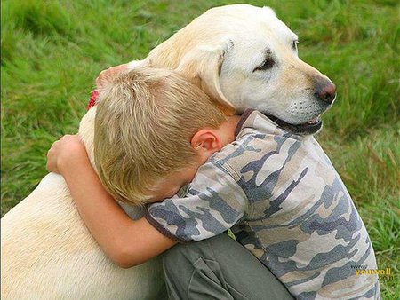 Sweel friend puppy - boy, dog, grass, puppy, hug, love, labrador