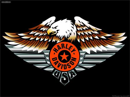 Eagle Harley Usa - harley, eagle, usa, logo