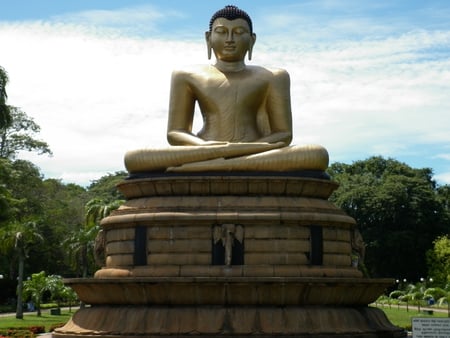 Buddha - calming, believe, sri lanka, holiday photo