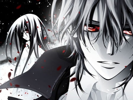 The Vampire Knight - anime, knight, vampire, dark