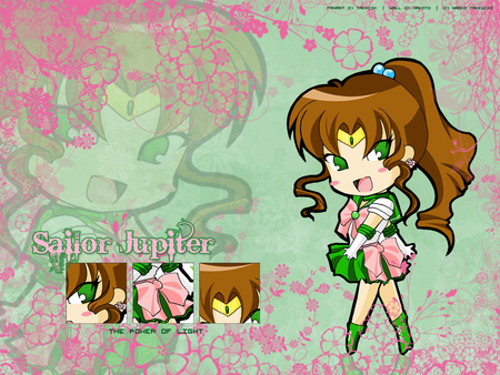 Sailor Jupiter - sailor moon, anime, sailor jupiter, makoto