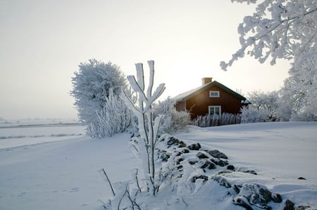 Winter - house, trees, winter, snow, landscape, sesons, light, popular, ice, frozen, nature, cold, frost, sun, sky