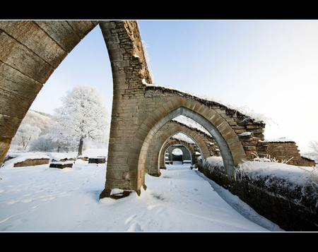 Frosty arches - ruin, trees, arches, winter, snow, frosty, sesons, medieval, arhitecture, ice, nature, cold, ruins