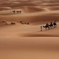 Sahara sanddunes