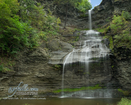 Aunt Sarah's Falls - nature, green, forest, waterfall