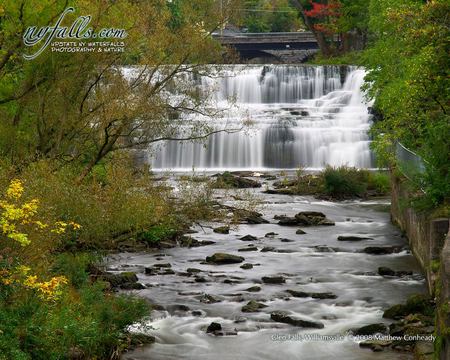 Glen Falls - nature, green, forest, waterfall