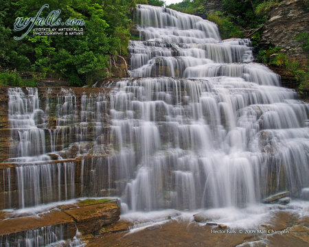 Hector Falls - nature, green, forest, waterfall