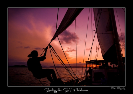 Sunset Sailing - sailing, sunset, sailor, boat, ocean