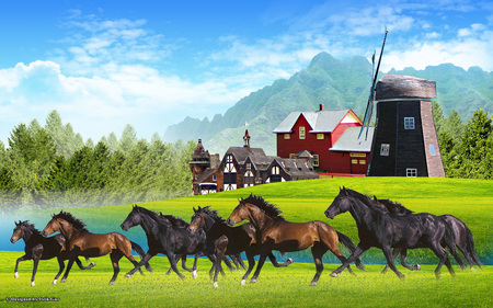 Horses running in the Village